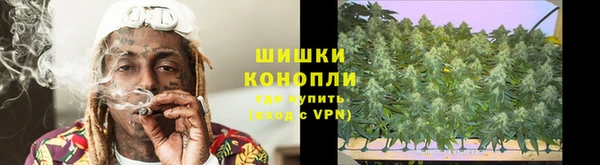 ГАЛЛЮЦИНОГЕННЫЕ ГРИБЫ Майский
