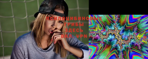 ГАЛЛЮЦИНОГЕННЫЕ ГРИБЫ Майский