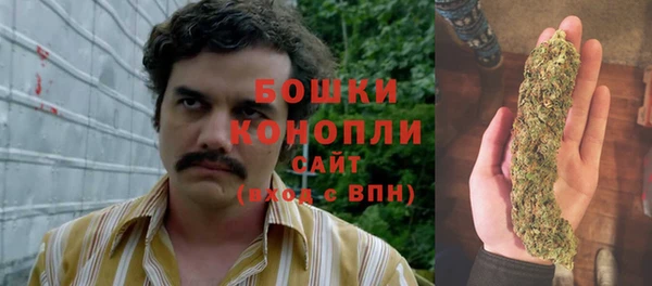 ГАЛЛЮЦИНОГЕННЫЕ ГРИБЫ Майский