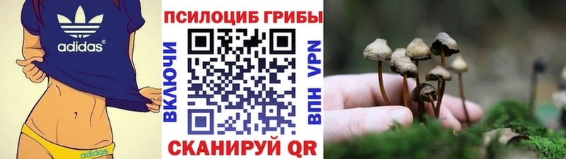Купить  Ковдор  Галлюциногенные грибы прущие грибы 